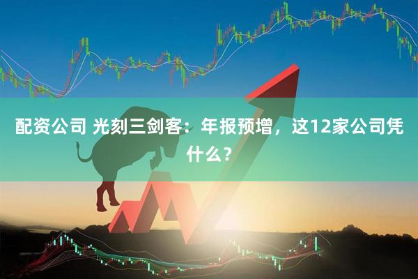配资公司 光刻三剑客：年报预增，这12家公司凭什么？